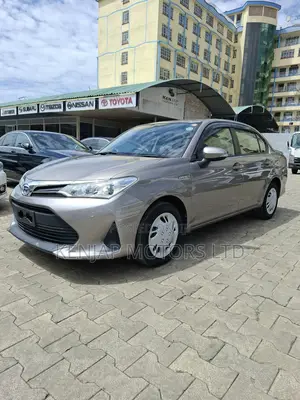 Toyota Axio 2019 Brown