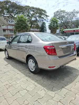 Toyota Axio 2019 Brown