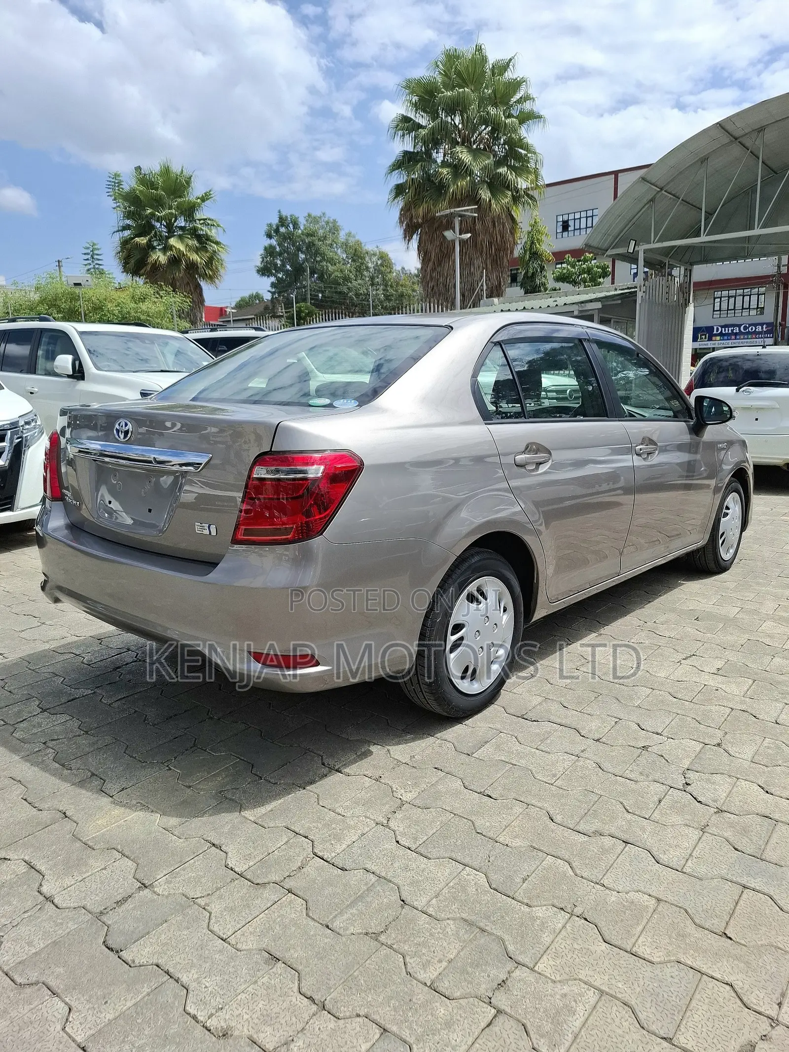 Toyota Axio 2019 Brown