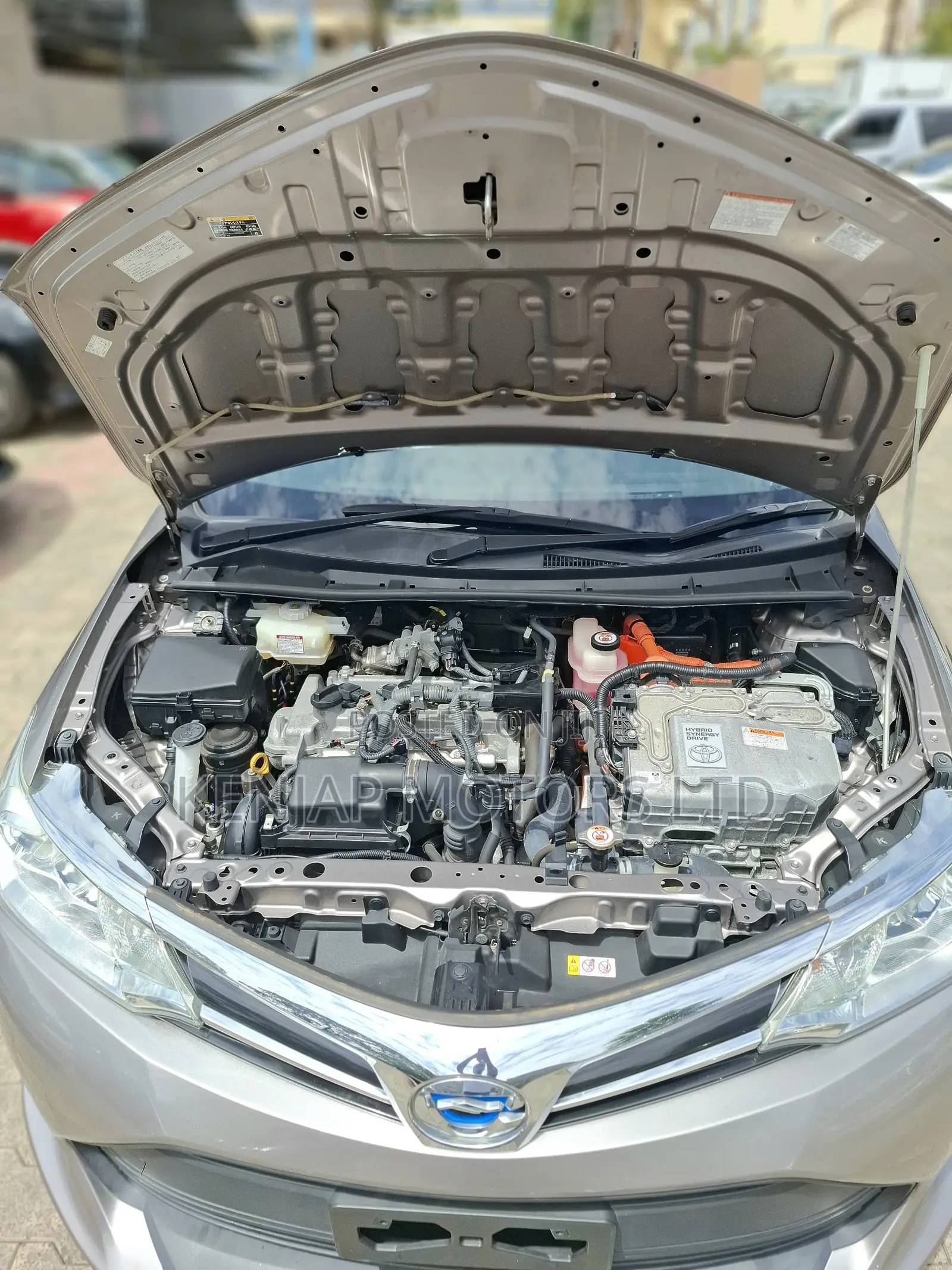 Toyota Axio 2019 Brown