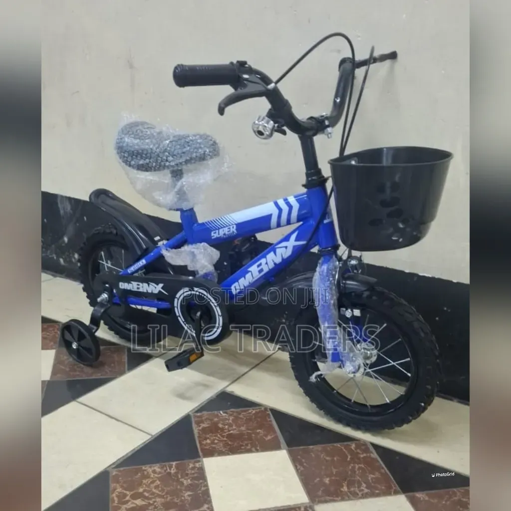 Kids Bike Size 12 _ Blue Sa