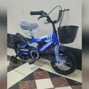 Kids Bike Size 12 _ Blue Sa