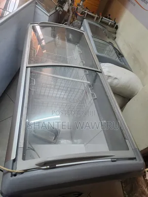 Aaffordable and Specious Display Freezer