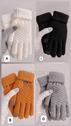 Warm Winter Touchscreen Gloves for Men and Women - Zy