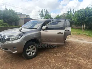 Toyota Land Cruiser Prado 2018 Gray