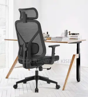 Full Back Mesh & Fabric Orthopedic Swivel Chair
