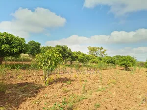 15 Acres for Sale in Muthwani Ideal for Ranching.