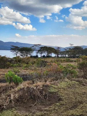 4 Acres on Sale Lake Naivasha