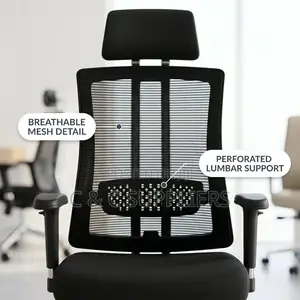 Orthopedic Executive Mesh Seat.