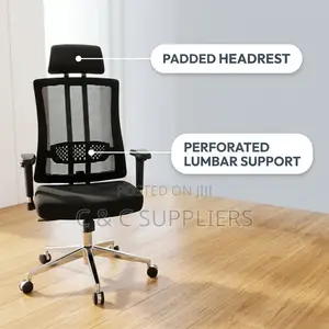 Orthopedic Executive Mesh Seat.
