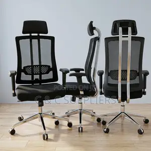 Orthopedic Executive Mesh Seat.