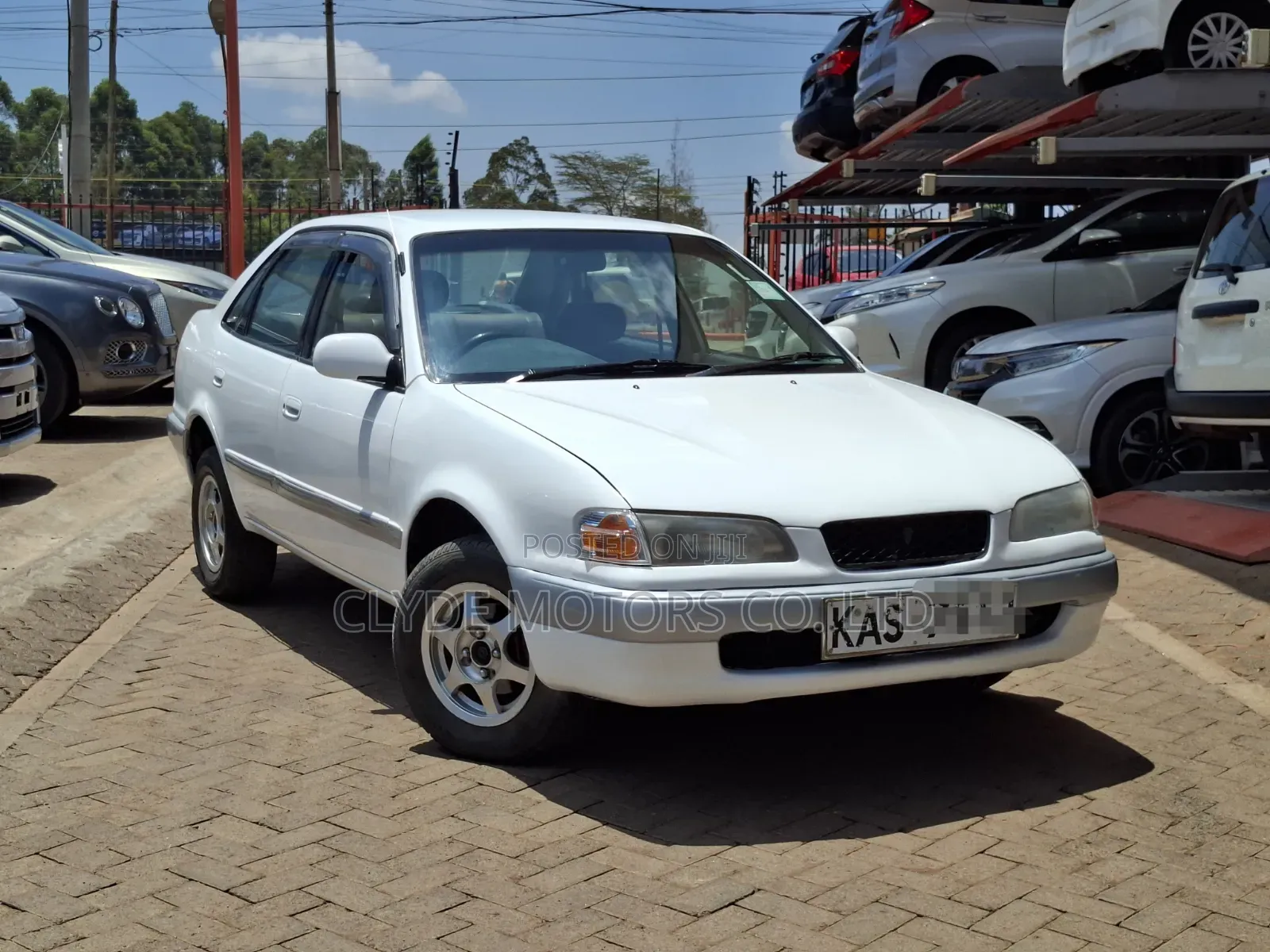 Toyota Sprinter 1998 White