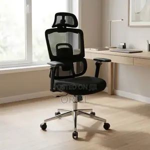 Office Chair : 5-Star Base Orthopedic Chair