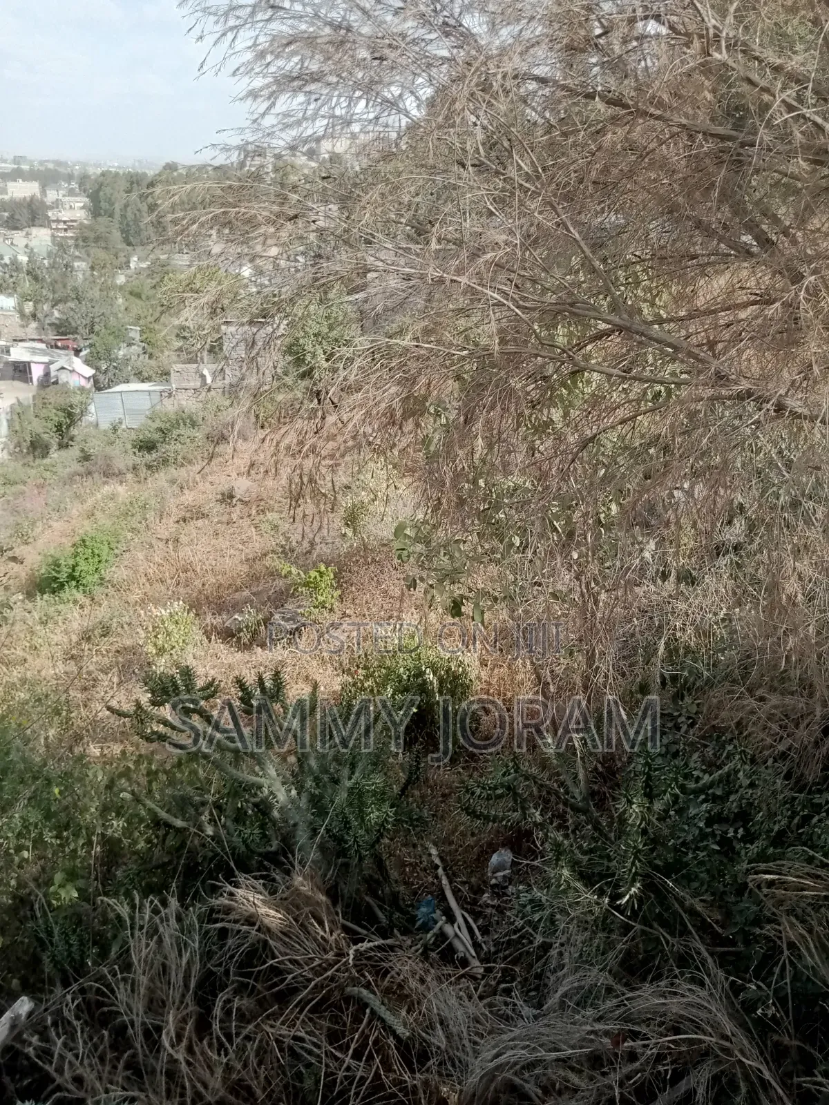 Plot at Miwongoni Macha