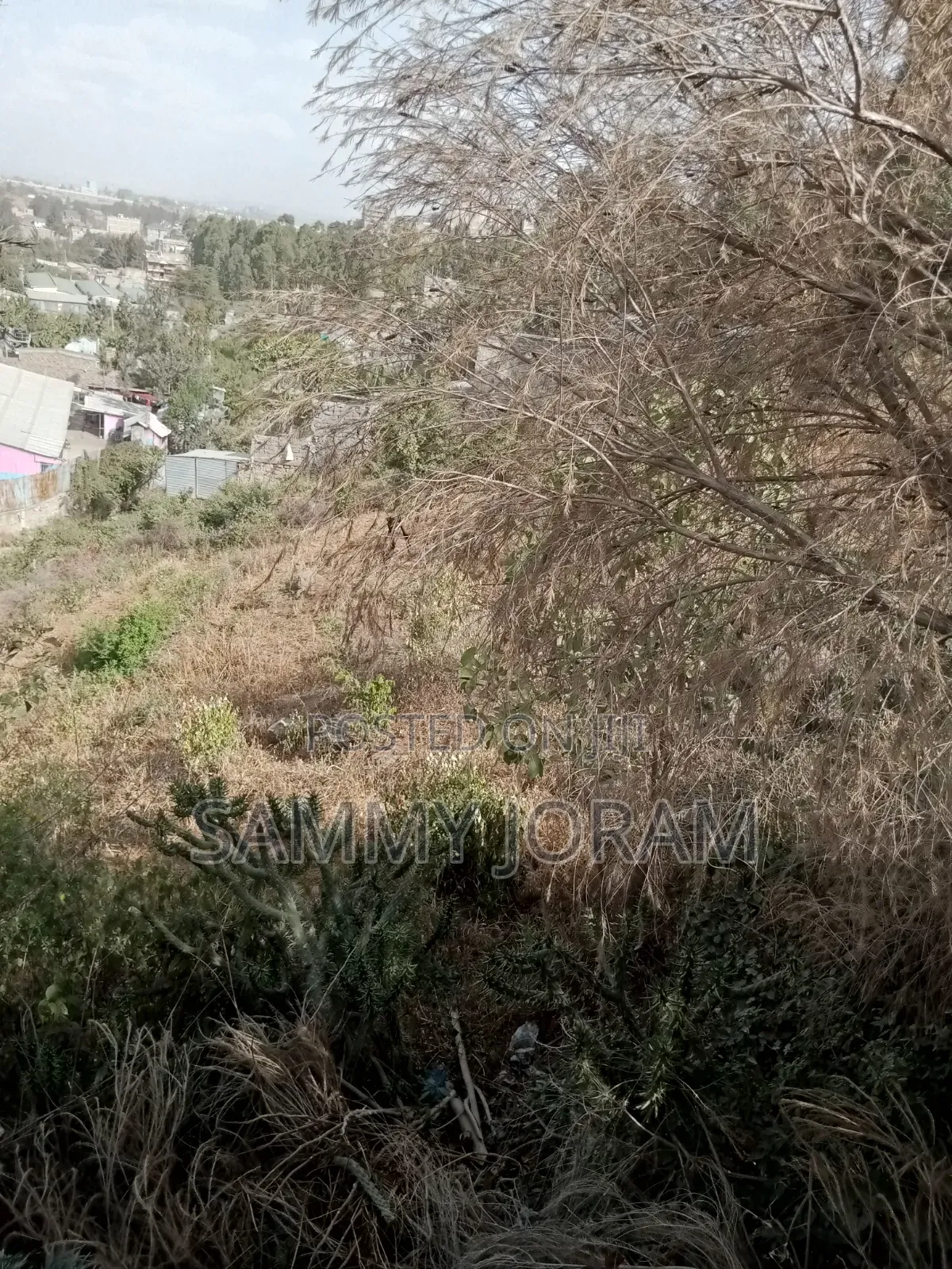 Plot at Miwongoni Macha