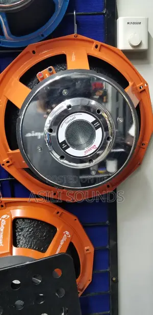 Derwel Pd1852 Naked Speaker
