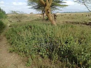 Mai Mahiu Prime Plot for Sale