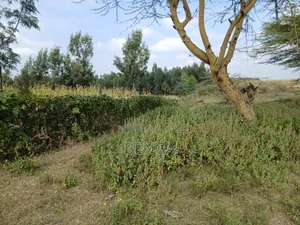 Mai Mahiu Prime Plot for Sale