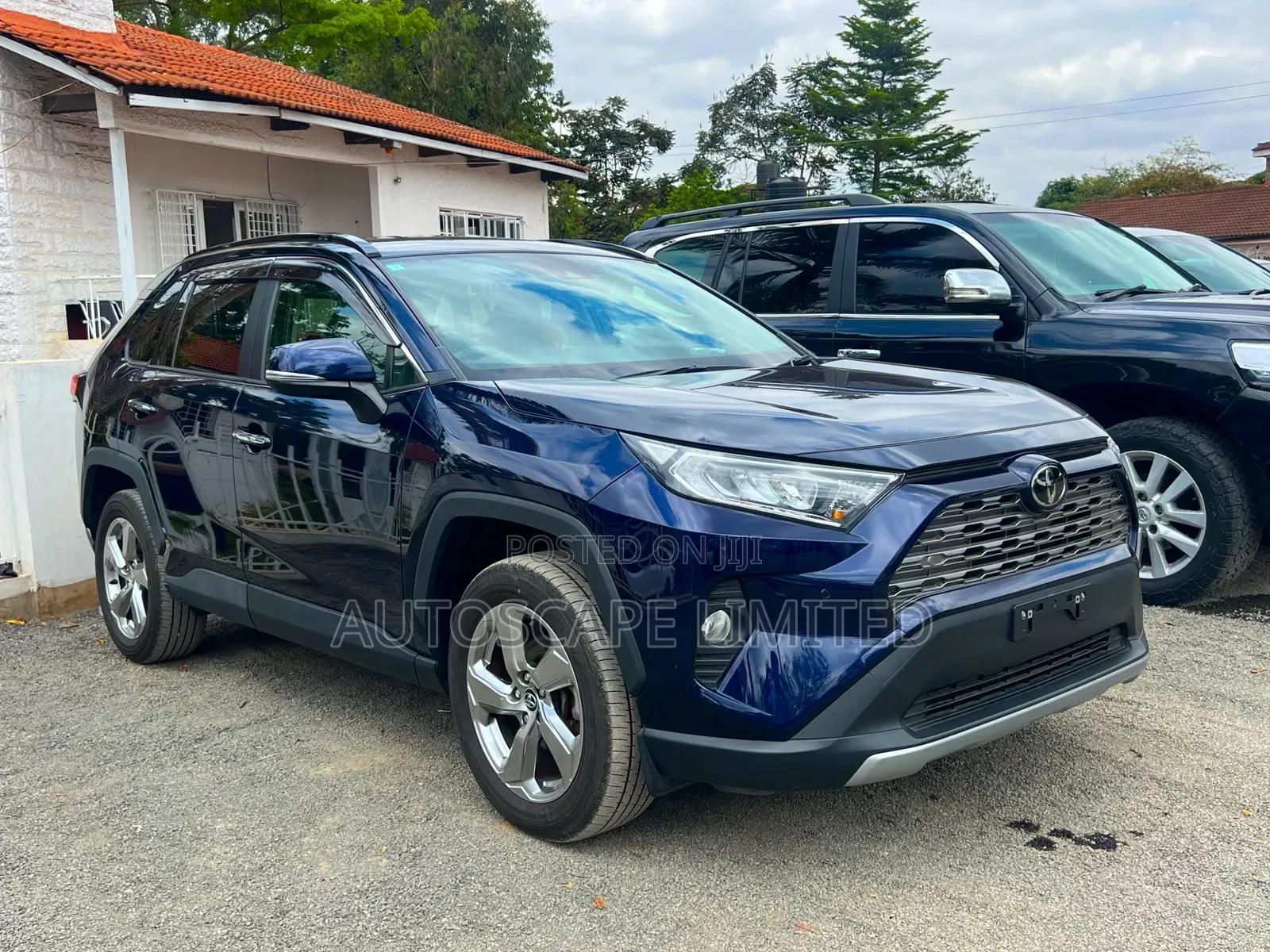 Toyota RAV4 2019 Blue