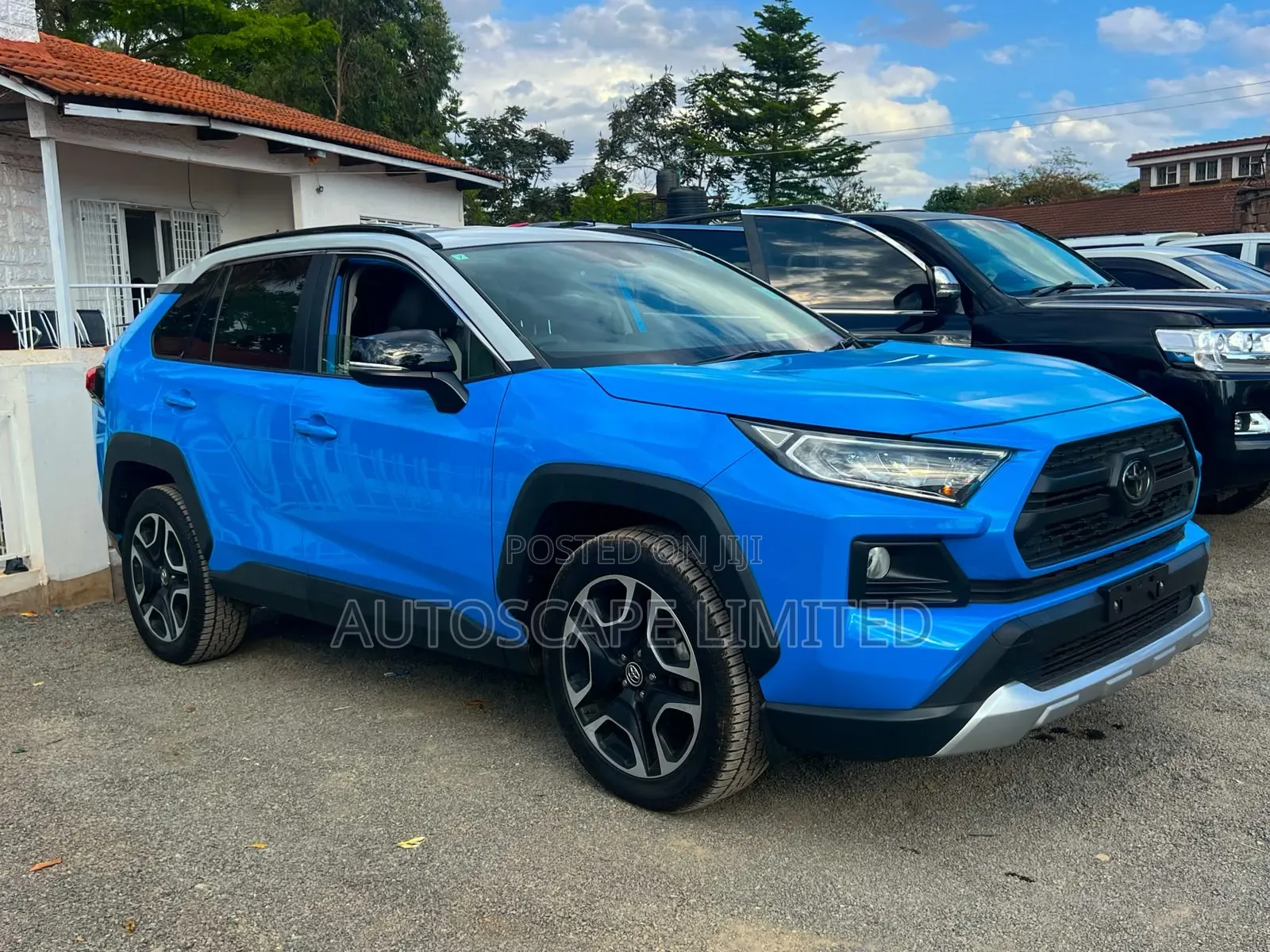 Toyota RAV4 2019 Blue
