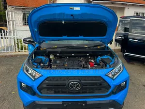 Toyota RAV4 2019 Blue