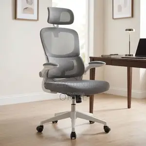 Office Chair : Ergonomic Gray Chair With Adjustable Lumbar