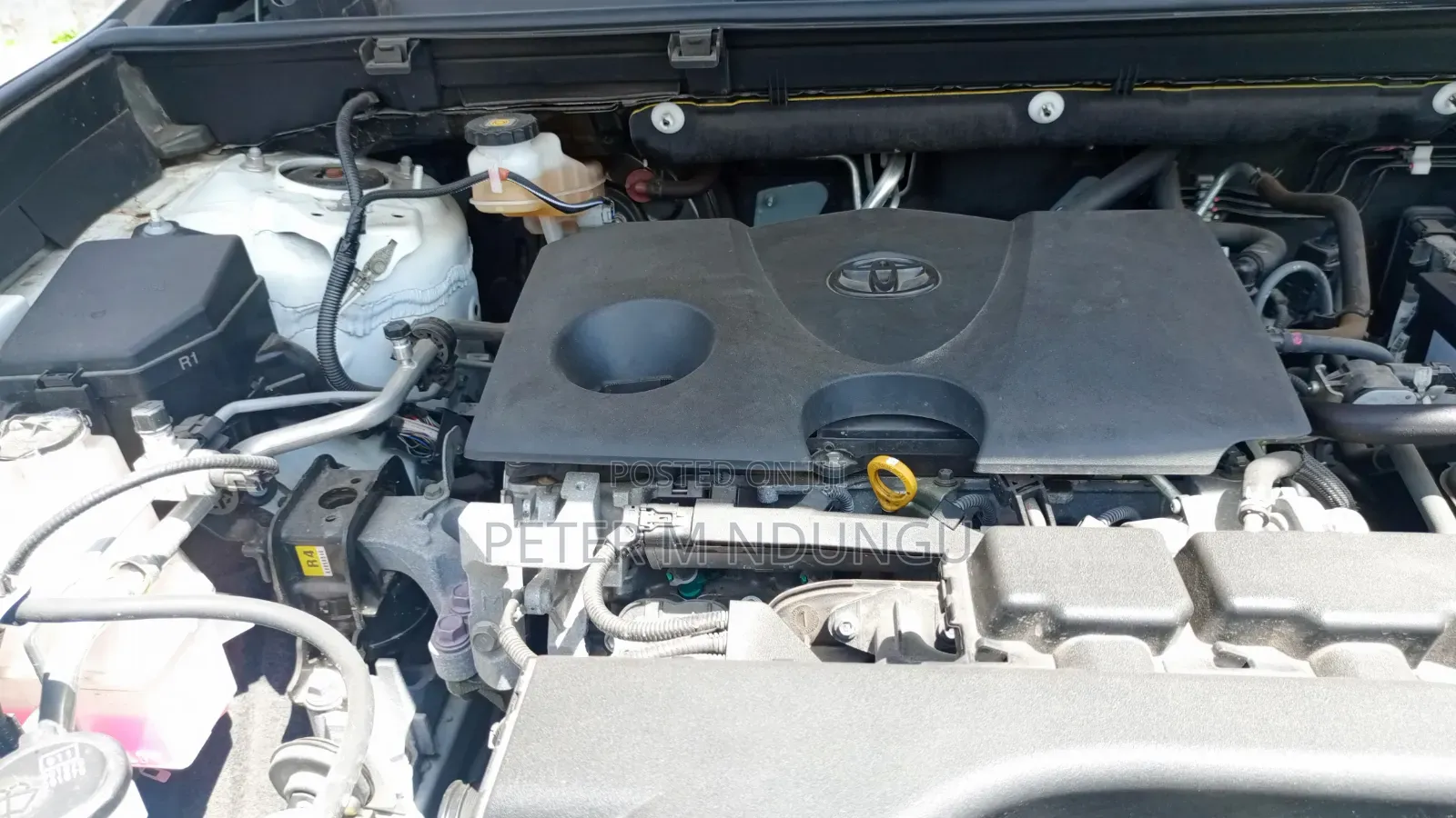 Toyota RAV4 2019 White