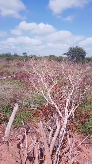 27 Acres for Sale in Marafa Magarini Sub County,kilifi County