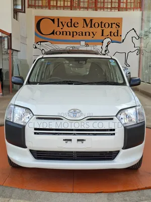 Toyota Probox 1.3 DX 2WD 2019 White