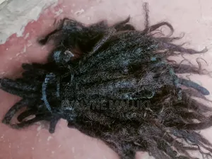 Human Hair Deadlocks