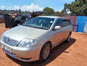 Toyota Corolla Fielder 2003 Beige