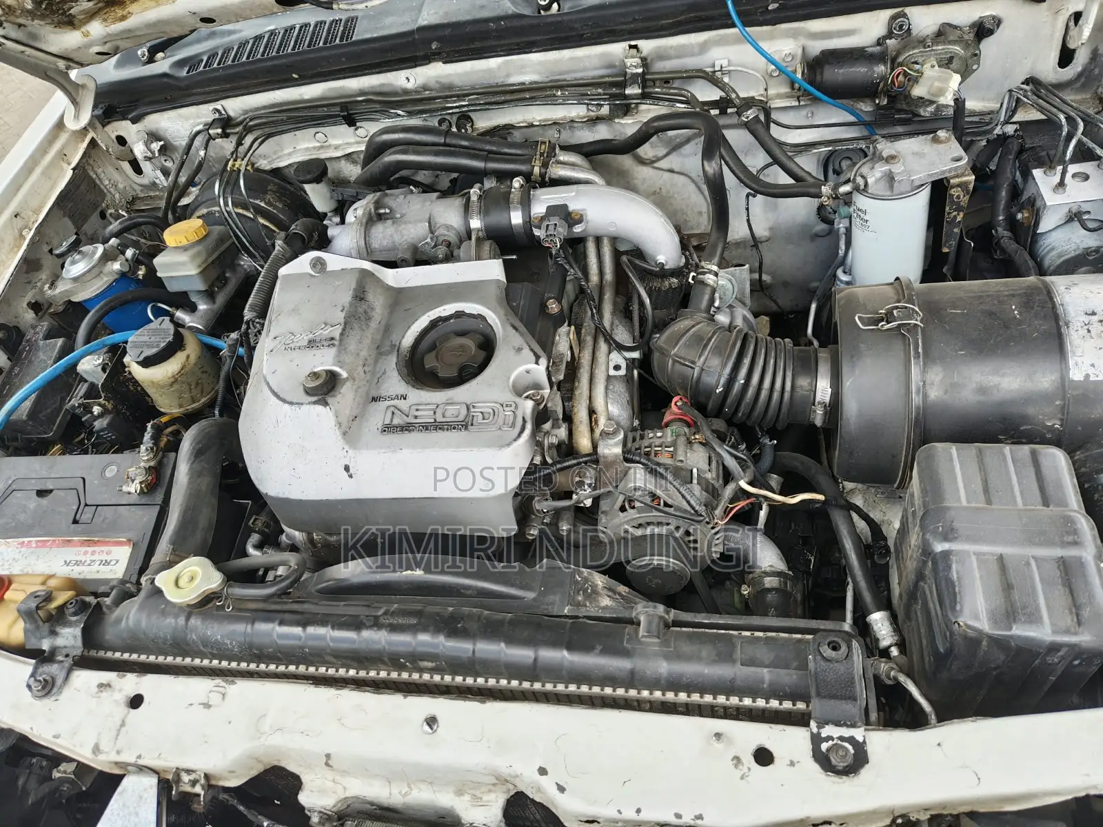 Nissan Hardbody 2006 White