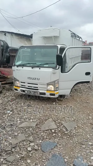 Isuzu ELF Truck 2009 White