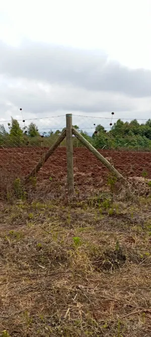 Residential Plots