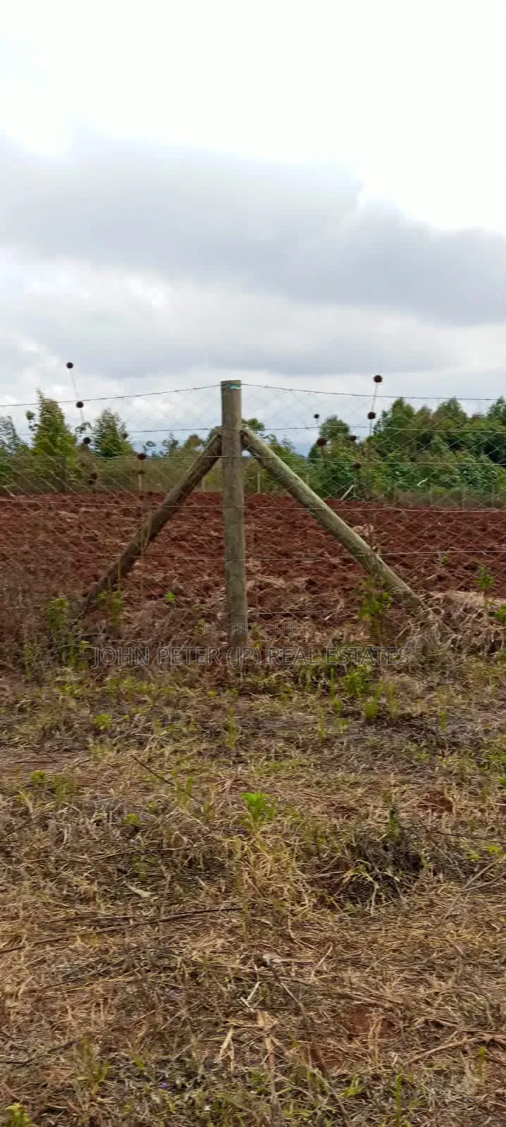 Residential Plots