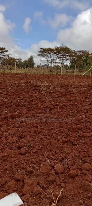 Residential Plots