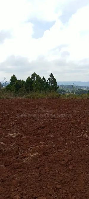 Residential Plots