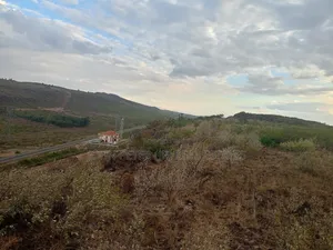 Land Deals in Kikuyu