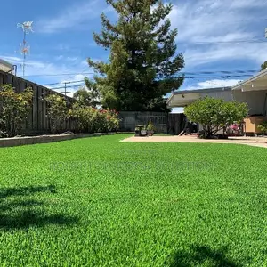 Soft Underfoot & Low Maintenance Grass Carpet