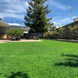 Soft Underfoot & Low Maintenance Grass Carpet