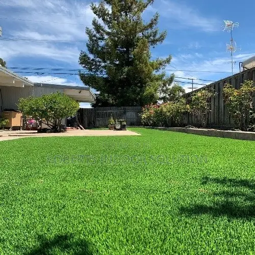 Soft Underfoot & Low Maintenance Grass Carpet