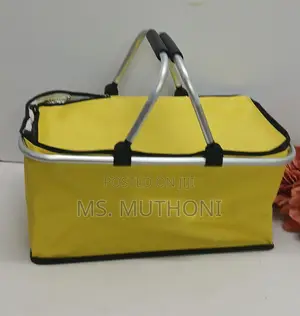 Outdoor / Travel Insulated Basket 