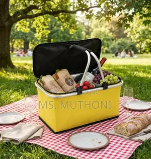 Outdoor / Travel Insulated Basket 