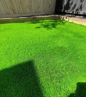 Grass Carpet for Your Home Outdoor Space