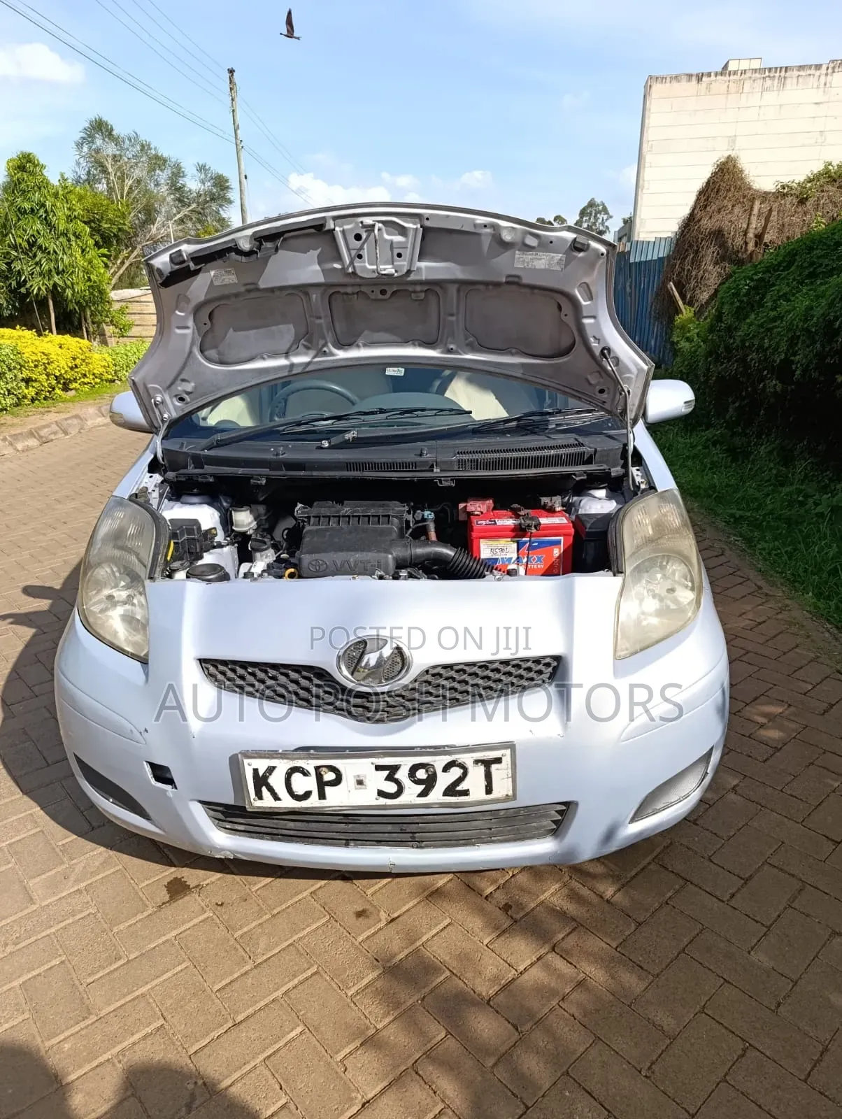 Toyota Axio 2011 Pink