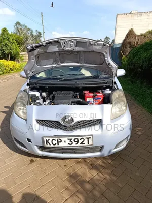 Toyota Axio 2011 Pink