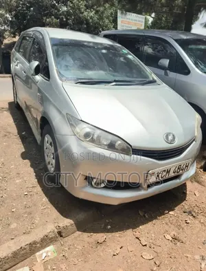 Toyota Wish 2010 Silver