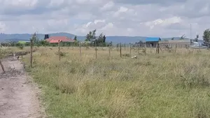 Prime Plots for Sale in St.Monicah,Joska