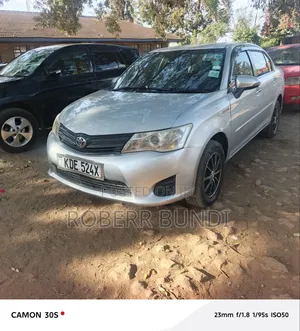 Toyota Axio 2014 Silver