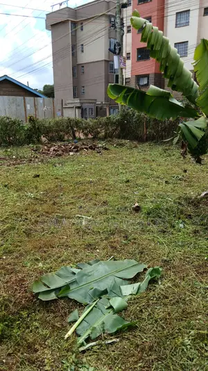 50×100 Plot for Sale in Muthiga, Kikuyu